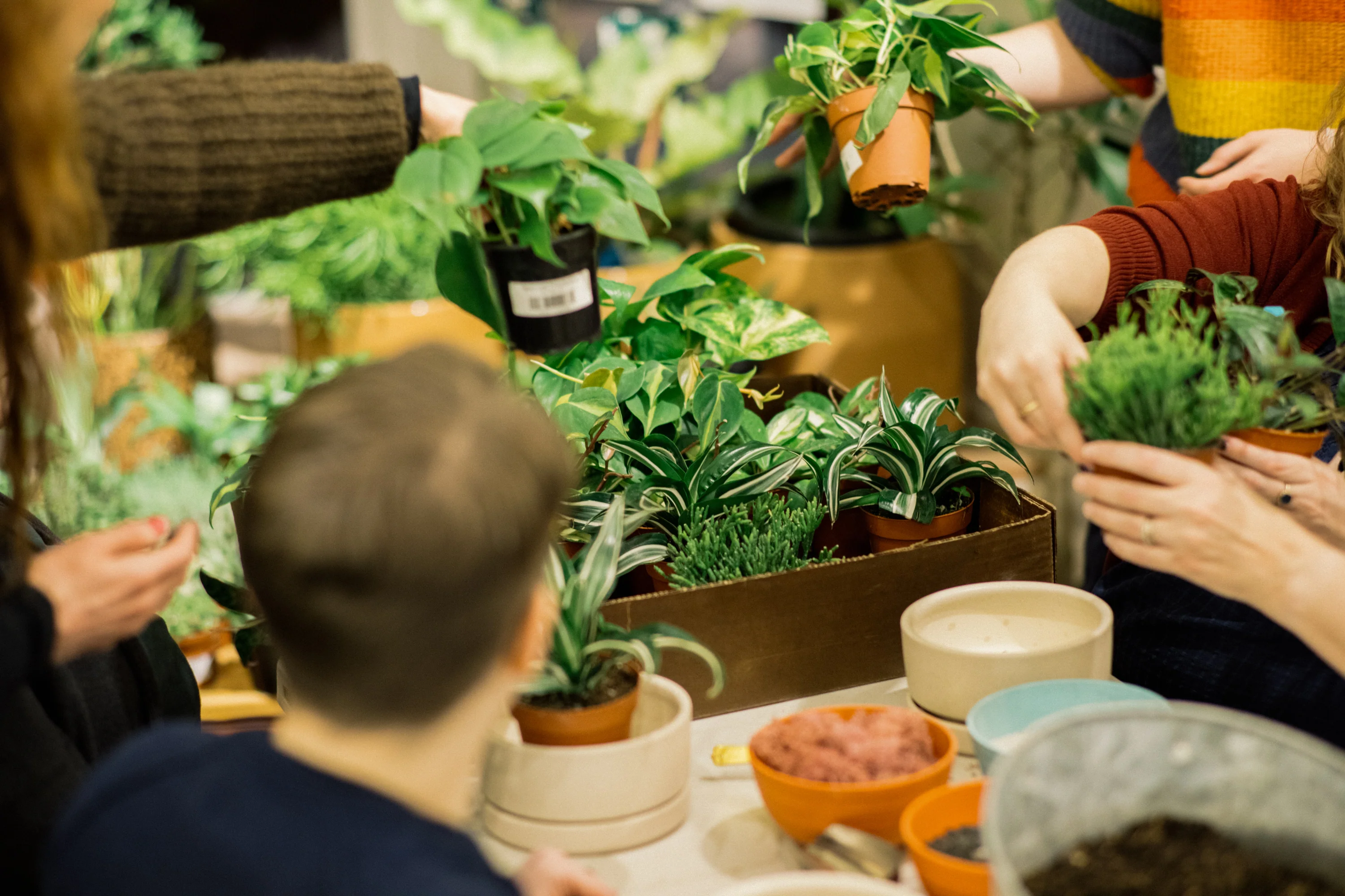 Bring Nature Home with REWILD